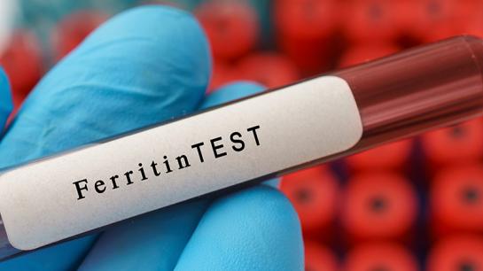Ein gefülltes Blutabnahmeröhrchen mit einem Aufkleber, auf dem Ferritin Test zu lesen ist